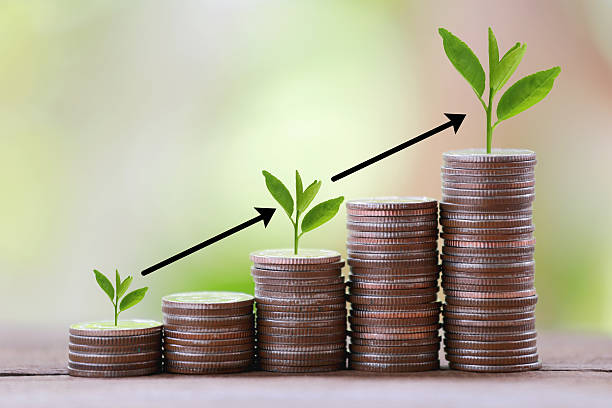 Stock Investment